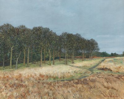 Bosque, Richmond Park, 2019 (óleo sobre lienzo) de Simon Neville