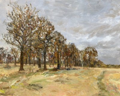 Woodland, Richmond Park no 6, 2022 (óleo sobre lienzo) de Simon Neville