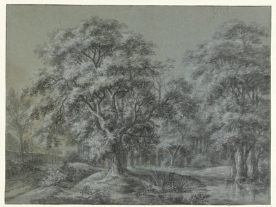 Paisaje forestal con un agua de Simon de Vlieger