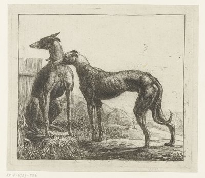 dos galgos Diferentes animales (título de la serie) Kite Bugs (título de la serie) de Simon de Vlieger