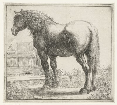 Caballo de batalla en una valla Diferentes animales (título de la serie) Kite Bugs (título de la serie) de Simon de Vlieger