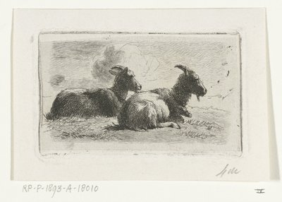 Dos cabras mentirosas de Simon van den Berg