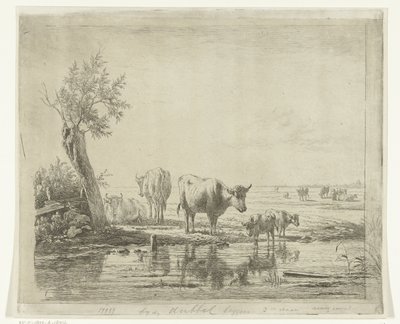 Paisaje de pasto con vacas cerca del agua. de Simon van den Berg