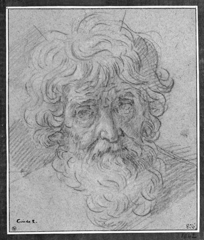 Cabeza de un anciano de Simone Cantarini