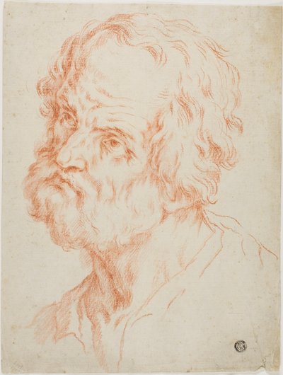 Cabeza masculina de Simone Cantarini