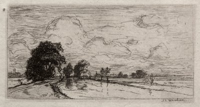Paisaje inundado con árboles de Sion Longley Wenban
