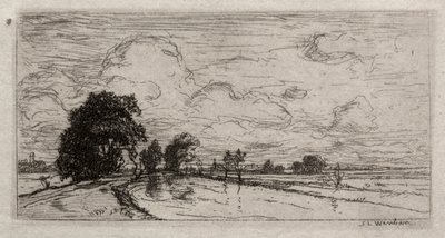 Paisaje inundado con árboles de Sion Longley Wenban
