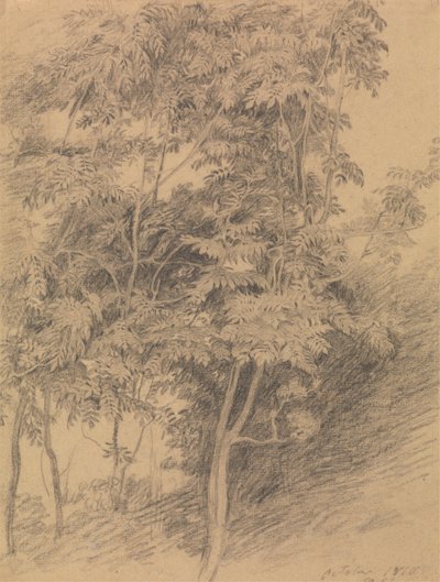 Estudio de árboles de Sir David Wilkie