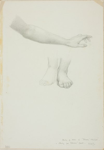 Brazo y Pies, estudio para Espejo de Venus de Sir Edward Burne Jones