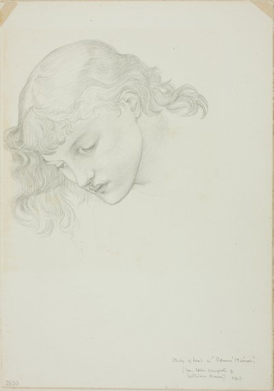 Cabeza, estudio para Espejo de Venus de Sir Edward Burne Jones