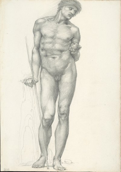 París con manzana dorada en la mano izquierda, para el tríptico de Troya (cuaderno de bocetos #2638) de Sir Edward Burne Jones