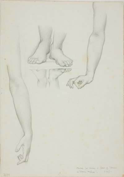 Estudio para Espejo de Venus: Brazos y pies de Venus de Sir Edward Burne Jones