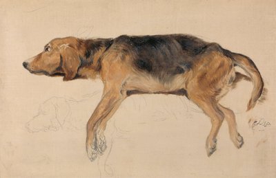 Estudio de un perro tumbado de Sir Edwin Henry Landseer
