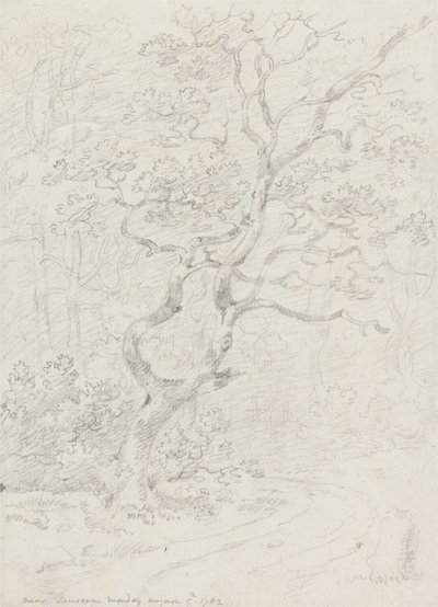 Árboles, cerca de Lausana de Sir George Howland Beaumont seventh Baronet