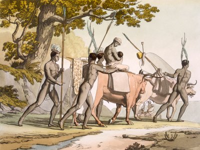 Korah hotentotes del Cabo en movimiento, Vol II, c1820-40 de Sir John Barrow