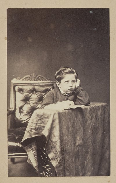 [Retrato de un joven] de Sir John Joscelyn Coghill