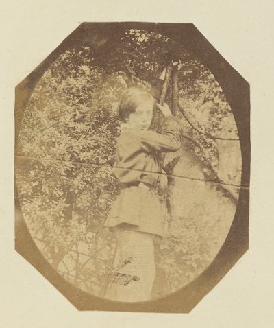 [Retrato de un joven] de Sir John Joscelyn Coghill