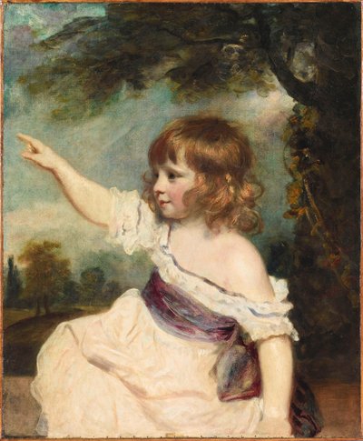 Retrato de Francis George Hare 1786-1842 conocido como Master Hare, 1788-1789 de Sir Joshua Reynolds