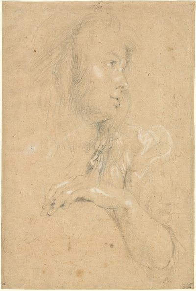 Joven Mujer de Perfil de Sir Peter Paul Rubens