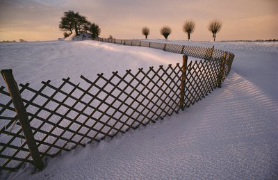 Una tumba vikinga en la nieve cerca de Elverhoej, Dinamarca, en invierno, 2022 (foto) de Sisse Brimberg