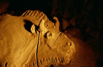 Detalle de un bisonte modelado en arcilla hace aproximadamente 14.000 años de la cueva de Tuc d