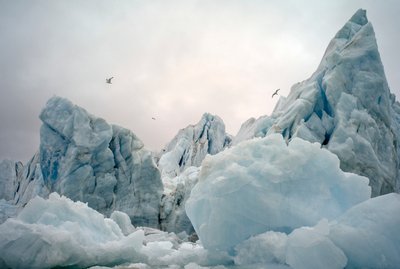 Icebergs en el mar Ártico alrededor de la isla de Spitsbergen, Noruega, 2022 (foto) de Sisse Brimberg