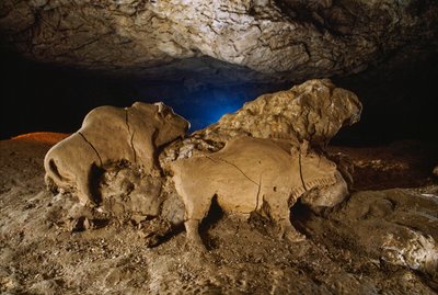 Los bisontes de barro de Le Tuc dâ€™Audoubert de Sisse Brimberg
