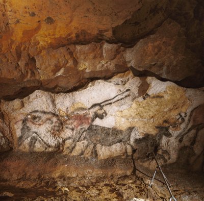 El Unicornio Mítico de Lascaux pintado hace más de 17.000 años recubre la calcita blanca... de Sisse Brimberg