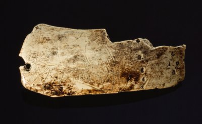 La imagen de un mamut está tallada en marfil de mamut prehistórico. de Sisse Brimberg