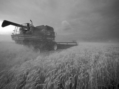 Estados Unidos, Kansas: Trigo de Kansas siendo cosechado al atardecer durante el verano, 2022 (foto) de Sisse Brimberg