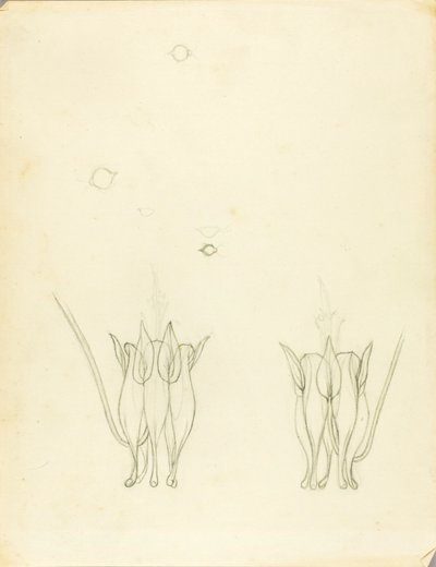 Acacias de Solon H. Borglum