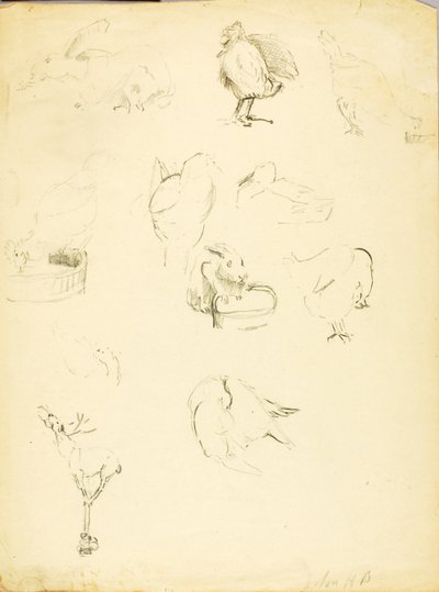 Estudios sobre animales de Solon H. Borglum