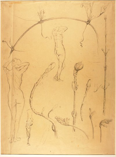 Rama y estudio de desnudo de Solon H. Borglum