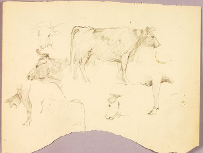 Toros de Solon H. Borglum