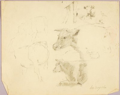 Vacas de Solon H. Borglum