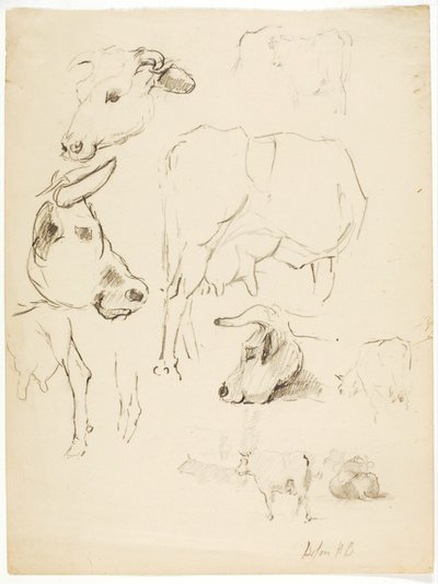 Vacas de Solon H. Borglum