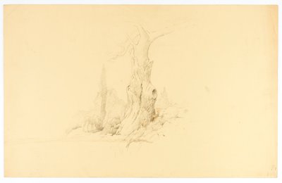 Árbol muerto y pastoreo de potros de Solon H. Borglum
