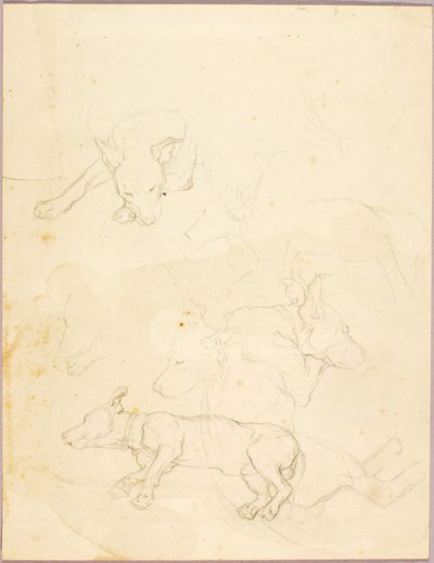Perros de Solon H. Borglum