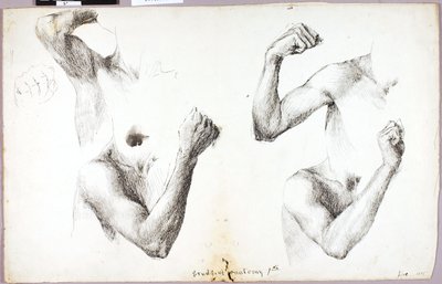 Estudio de los cuatro brazos, nº 1 de Solon H. Borglum