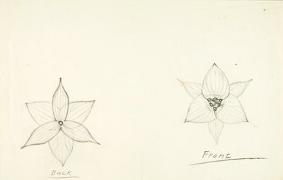 Marco de la flor de Solon H. Borglum