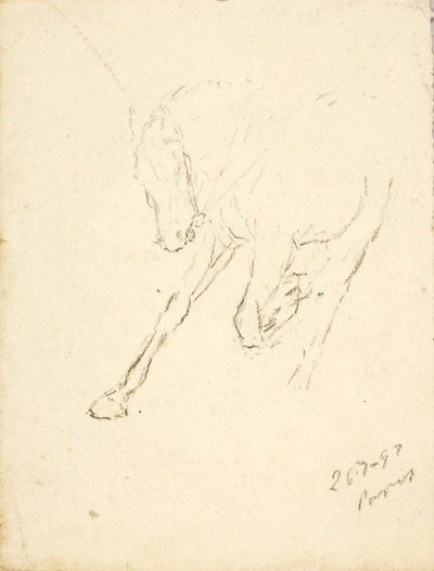 Caballo de Solon H. Borglum