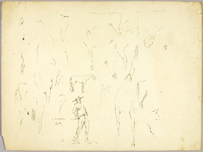 Estudio sobre caballos de Solon H. Borglum