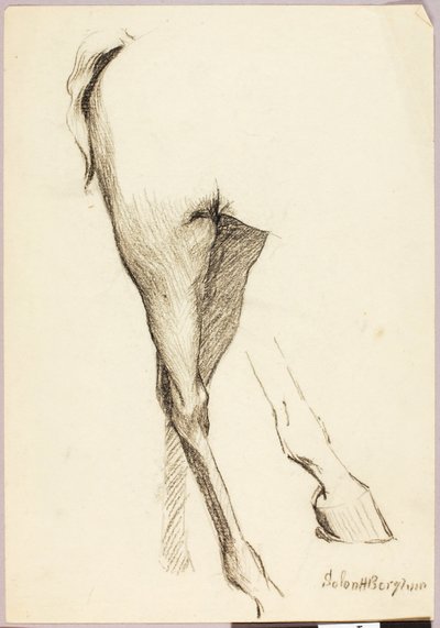 Estudio sobre caballos de Solon H. Borglum