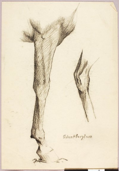 Estudio sobre caballos de Solon H. Borglum