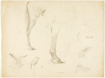 Estudio de caballos y conejos de Solon H. Borglum