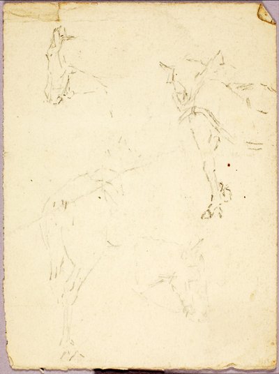Caballos de Solon H. Borglum