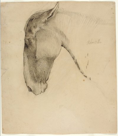 Cabeza de Caballo de Solon H. Borglum