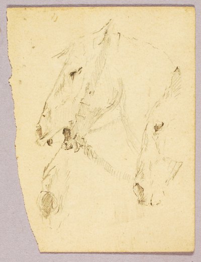Cabezas de caballo de Solon H. Borglum