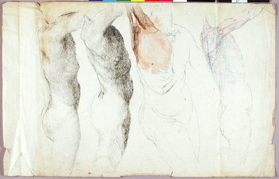 Estudios de desnudos de Solon H. Borglum