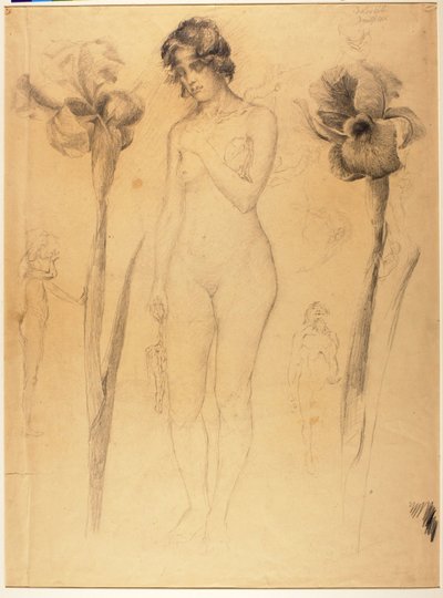 Desnudo e Iris de Solon H. Borglum